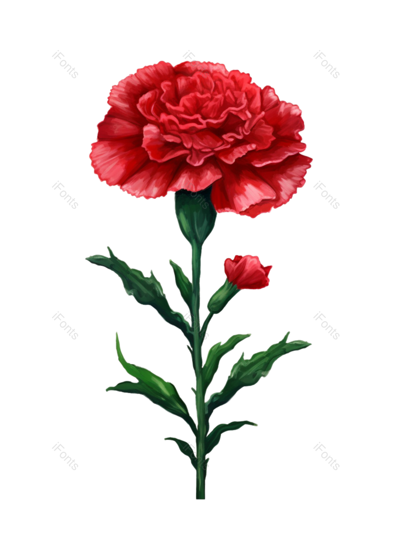 母亲节背景图片,母亲节素材元素,PNG,免抠素材